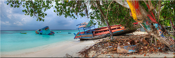 867 Lost in Paradise II
