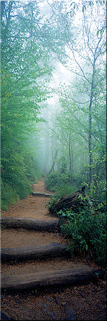 286 Nature's Steps