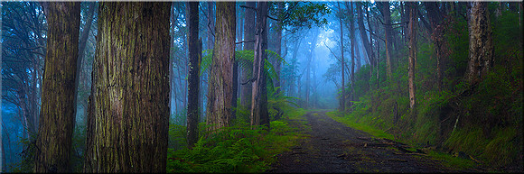 873The Black Spur II