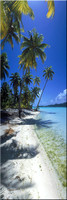 212 Paradise