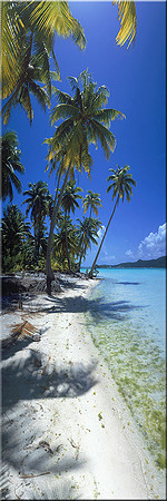 212 Paradise