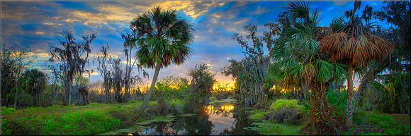 1866 Southern Solitude