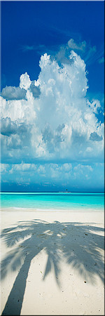 850 Island Bliss