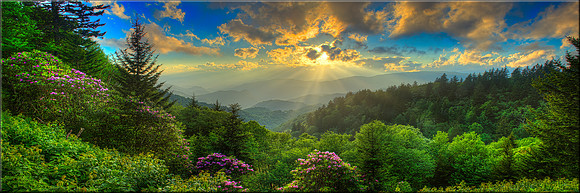 1808 Golden Days of Spring