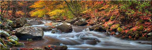 634 Cascade of Color