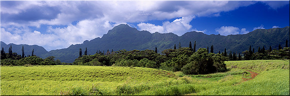 383 Kauai