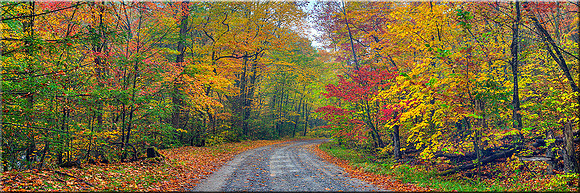 627 Autumn Road