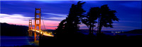 149 Golden Gate