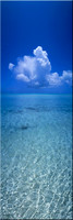 218 Crystal Blue