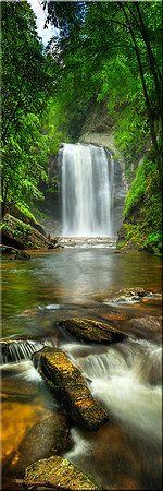 572 Looking Glass Falls