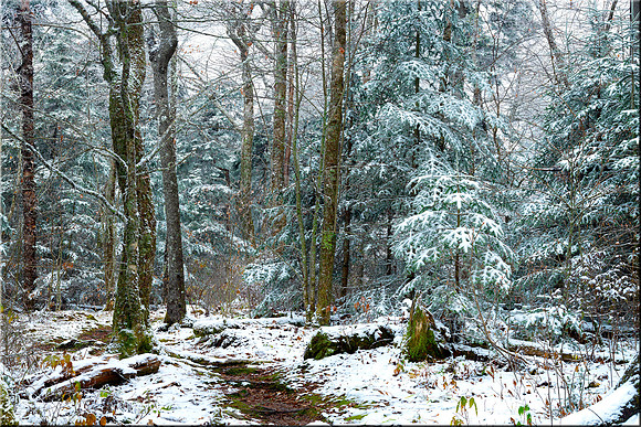127 Winter Wonderland
