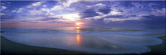 338 Oceans Apart