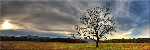 619 Autumn Fades to Gray