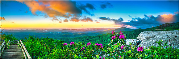 1713 Blooming Vista
