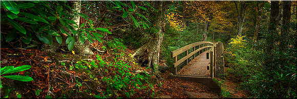 951 Bridge to Dreams