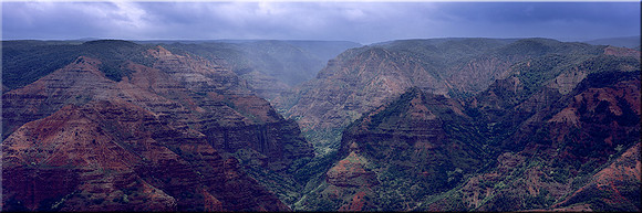 389 Waimea Canyon