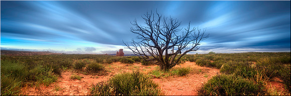 1008 Desert Spirit