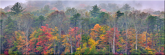 624 Colors in the Mist