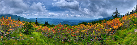 582 Promised Land 20x60 canvas SOLD OUT