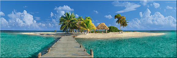 468 Tropical Paradise