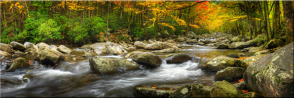 758 Poetry of Autumn