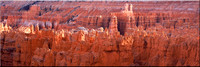 230 Bryce Hoodoos