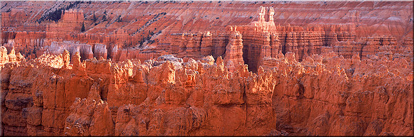 230 Bryce Hoodoos