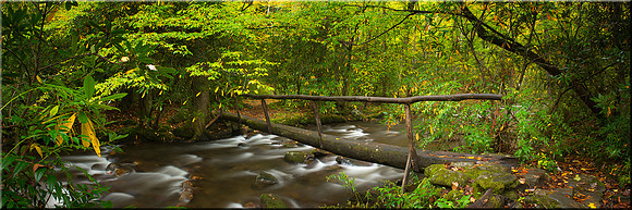 1024 Bridge to the Past