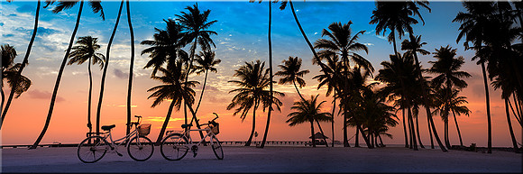 973 Sunset Ride