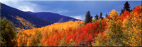 165 Indian Summer