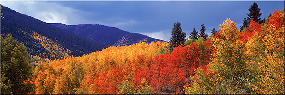 165 Indian Summer